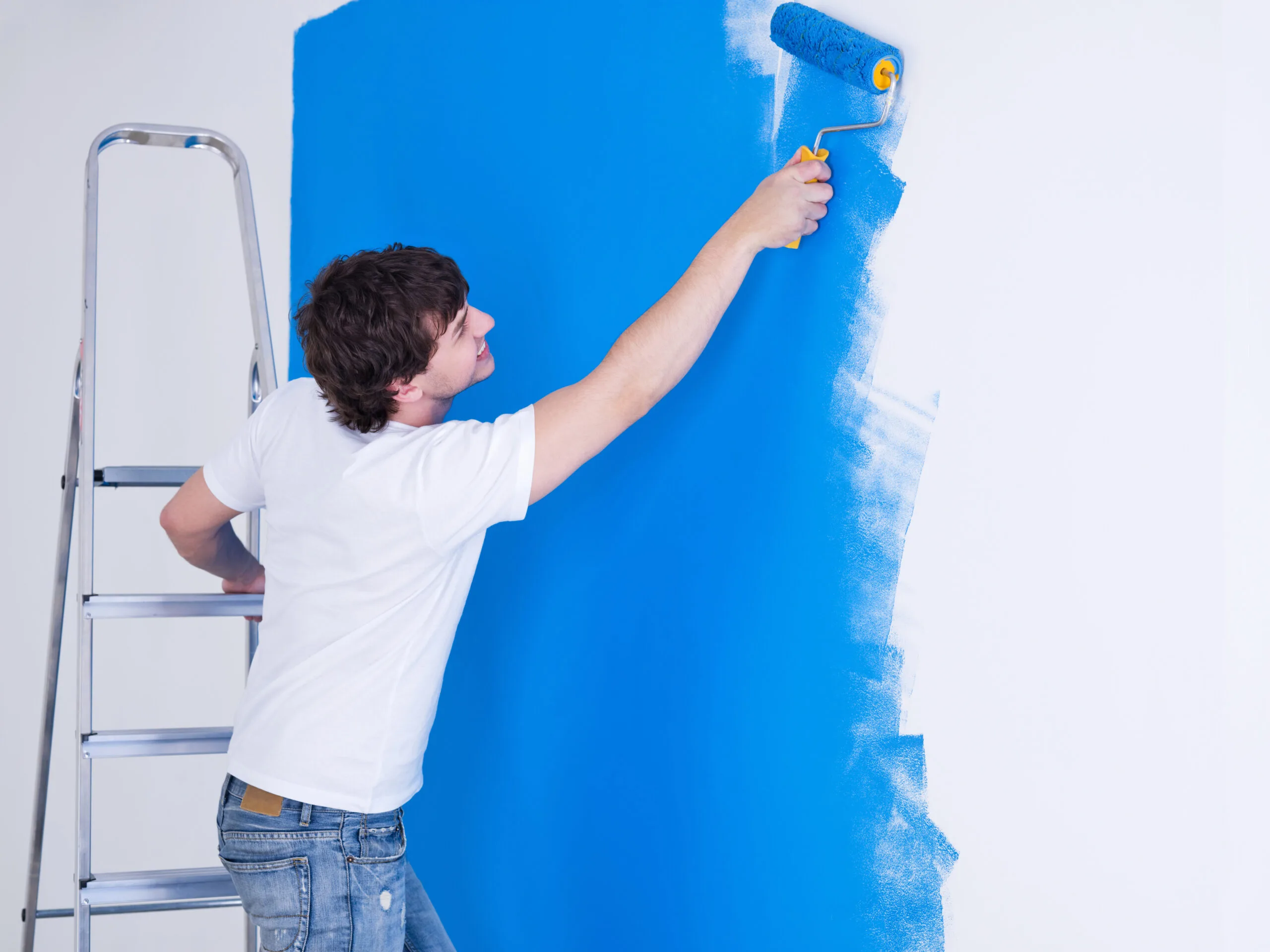 professional painter and a painter